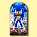 SONIC 100X200